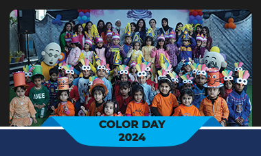 Color Day 2024